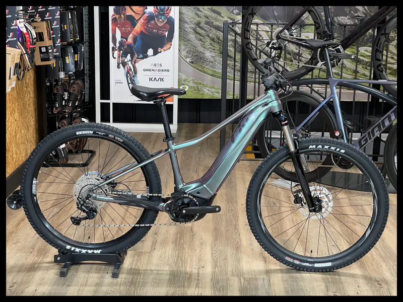 Liv Vall E+ 2 Echeveria X-Small 2022