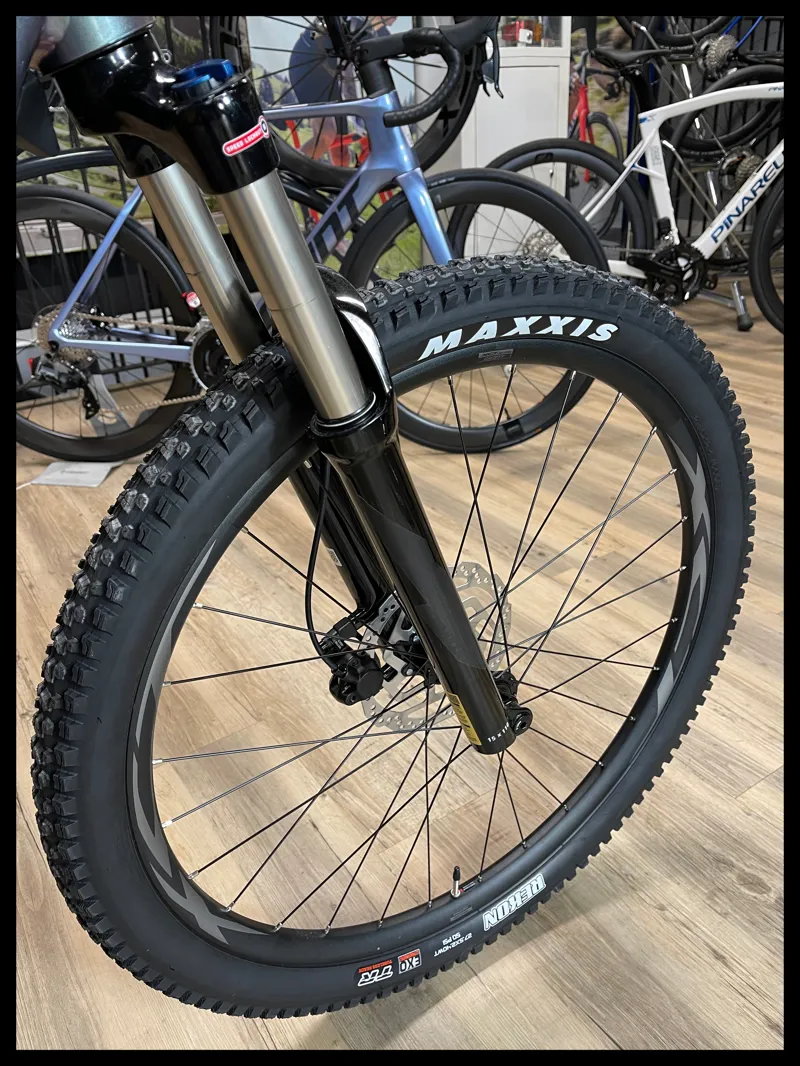 Liv Vall E+ 2 Echeveria X-Small 2022-5