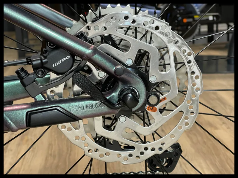 Liv Vall E+ 2 Echeveria X-Small 2022-7