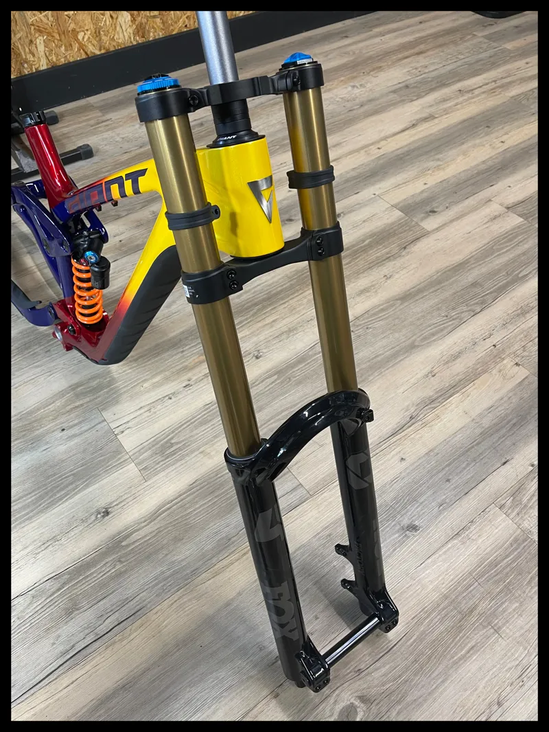 Giant Glory Advanced Legends Edition Frameset Legends Edition M-Large 2024-2