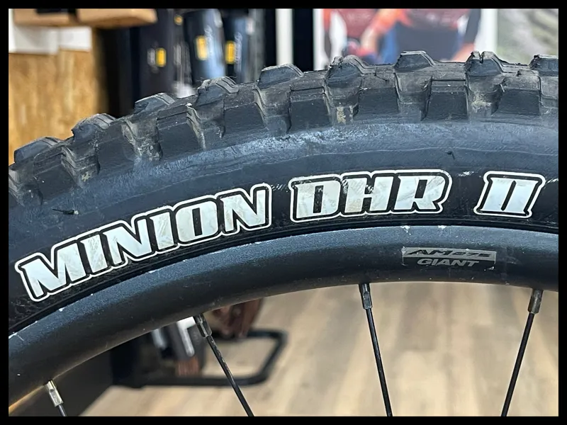 Giant Glory Advanced Small/Medium Shoreline 2024 Ex-Demo-9