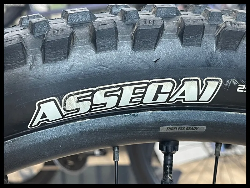 Giant Glory Advanced Small/Medium Shoreline 2024 Ex-Demo-10