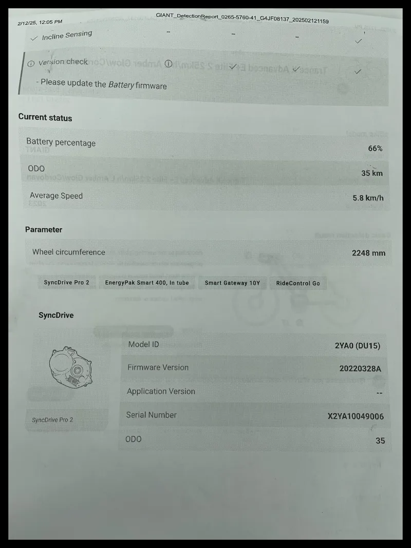 Giant Trance X Advanced E+ Elite 2 Amber Glow/Cordovan Lge 23 Ex-Demo-13