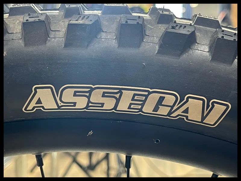 Giant Reign E+ 3 Raw Aluminum X-Large 2024 Approved Used-10