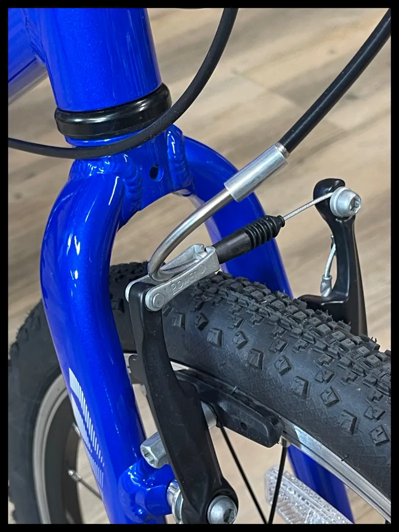 Giant ARX 20 Kids Bike Cobalt 2025 Ex-Demo-5