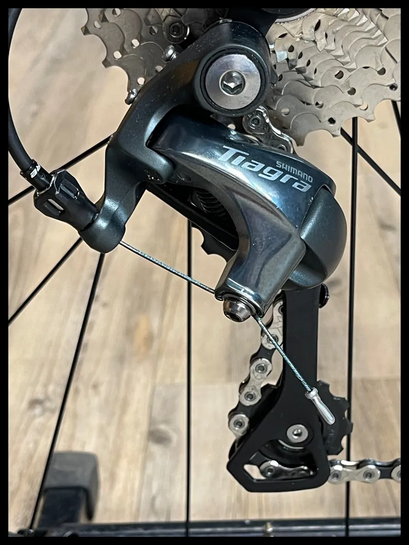 Giant Defy Advanced 3 Kelp Forest/Silver Medium 2024-3