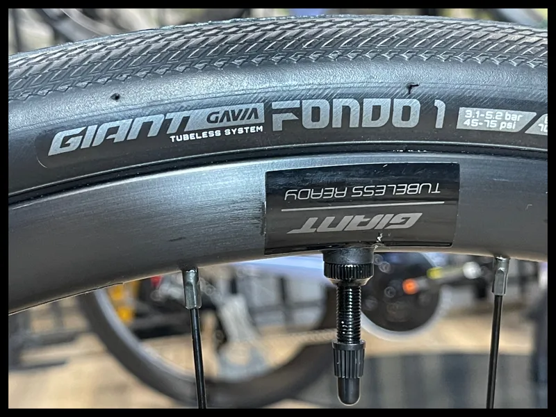 Giant Defy Advanced 3 Kelp Forest/Silver Medium 2024-6