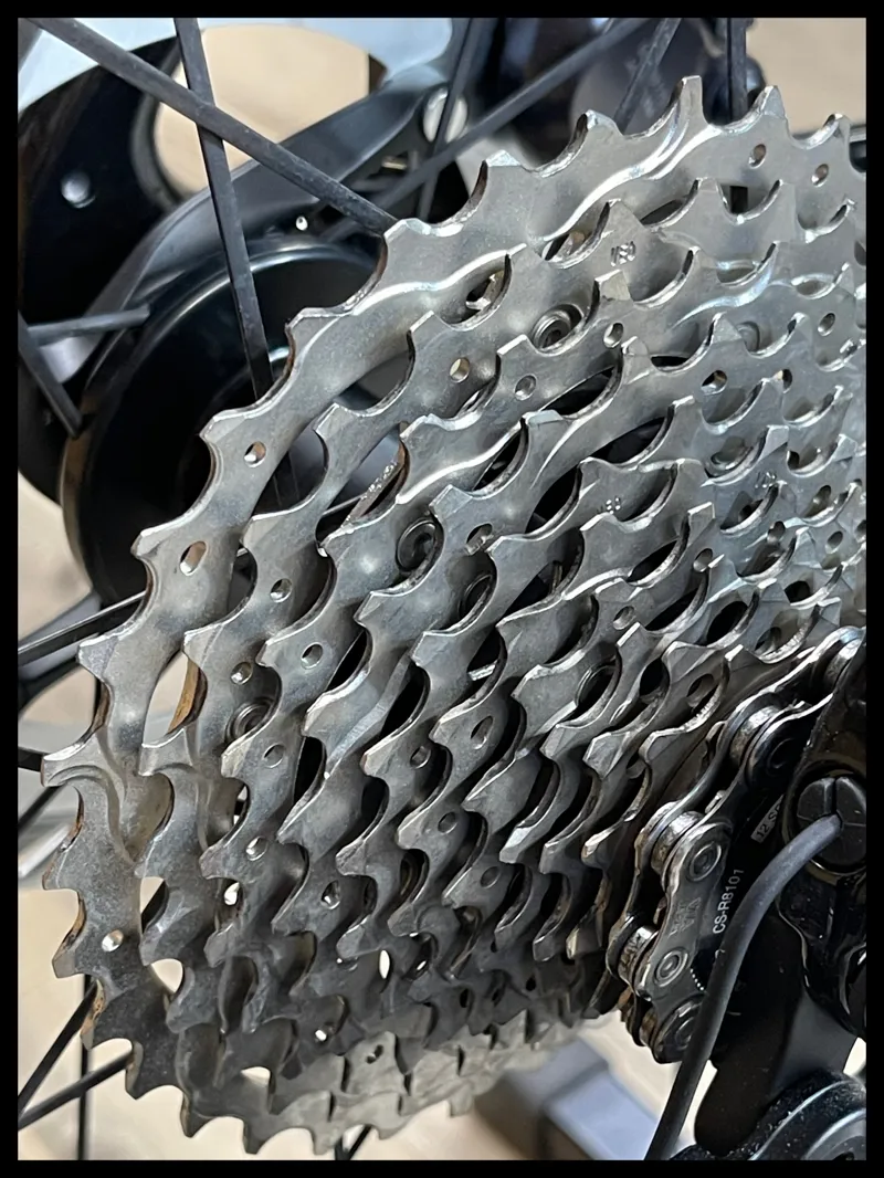 Giant Defy Advanced Pro 0 Carbon Blue Dragonfly M-Large 2024-2