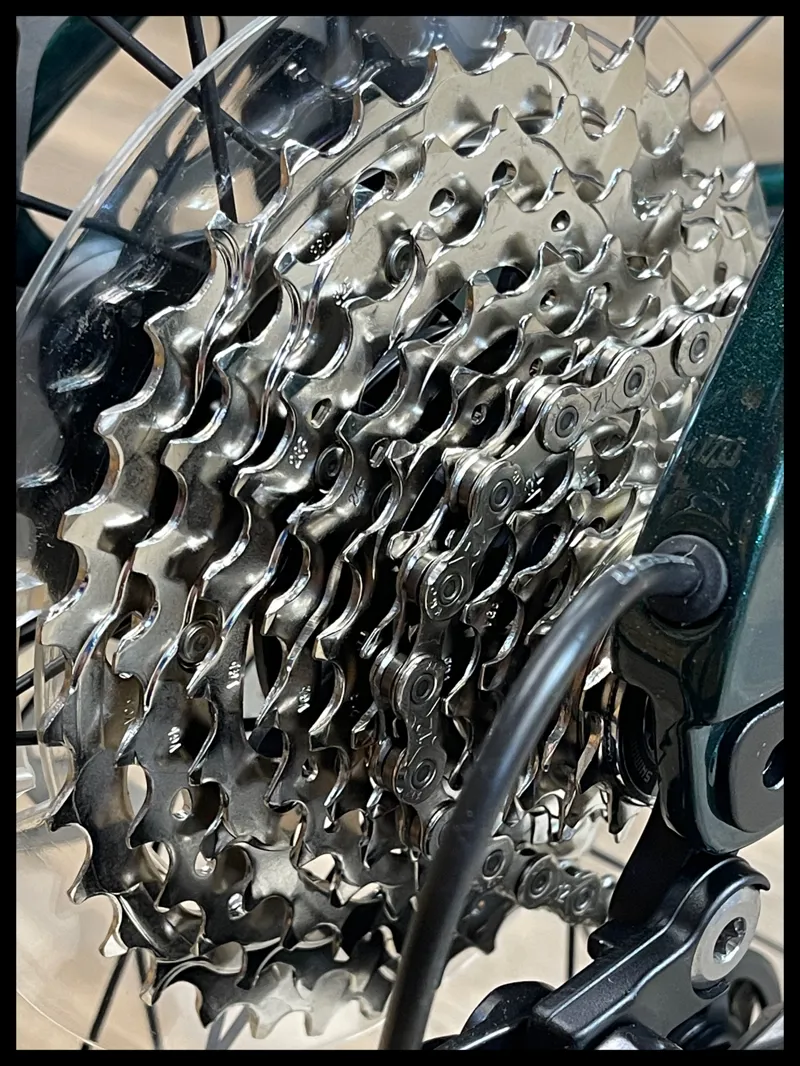 Liv Devote Advanced 2 Kelp Forest Small 2024-2