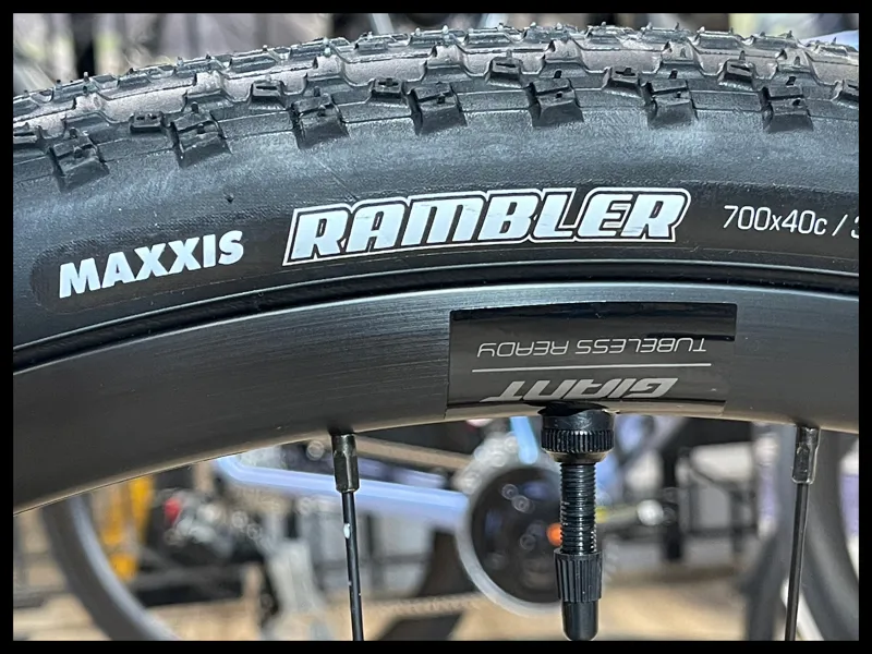 Liv Devote Advanced 2 Kelp Forest Small 2024-8