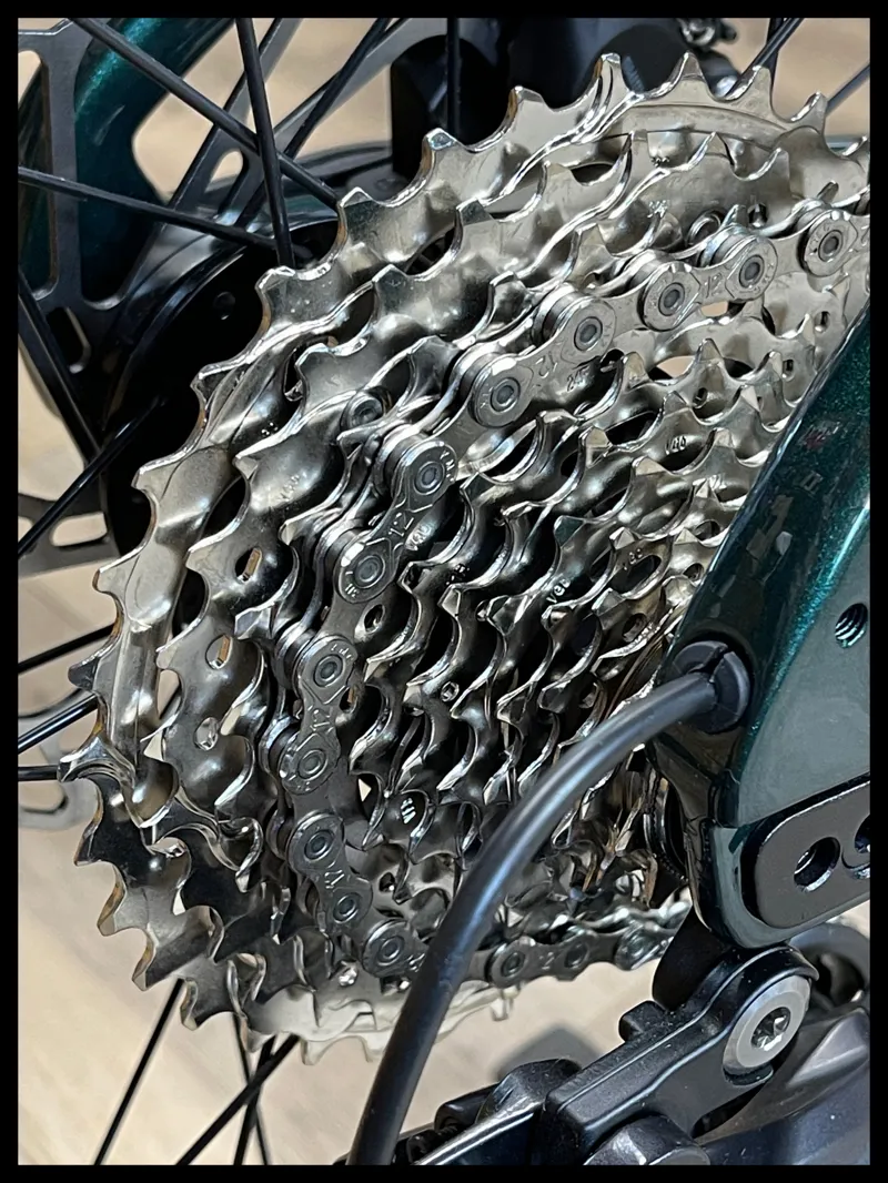 Liv Devote Advanced 2 Kelp Forest Small 2024-2