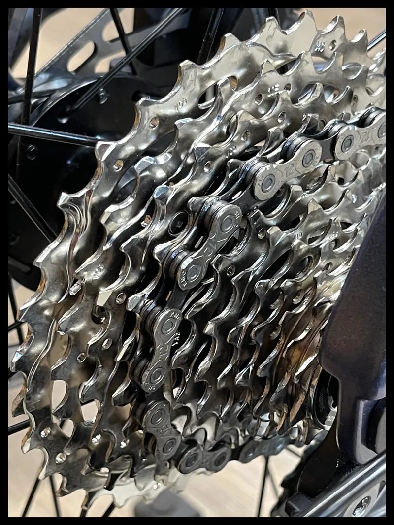 Giant Revolt 0 Blue Dragonfly Medium 2024 Ex-DEMO-2