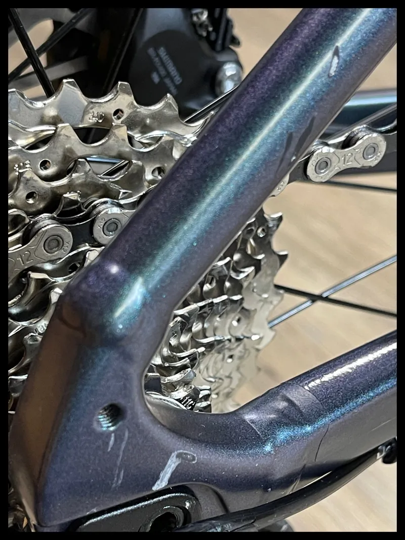 Giant Revolt 0 Blue Dragonfly Medium 2024 Ex-DEMO-10