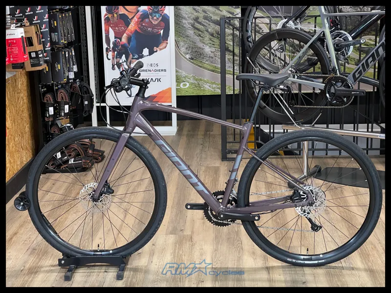 Giant FastRoad AR 3 Medium Charcoal Plum 2023-1