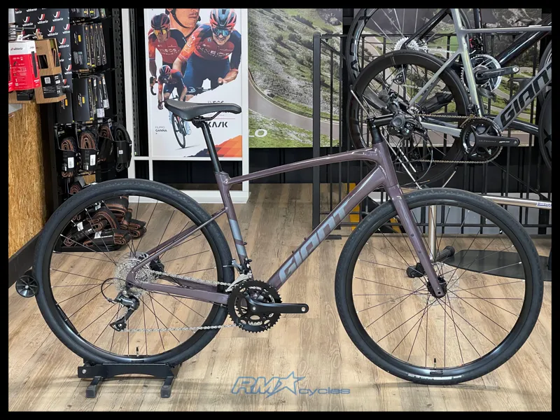 Giant FastRoad AR 3 Medium Charcoal Plum 2023