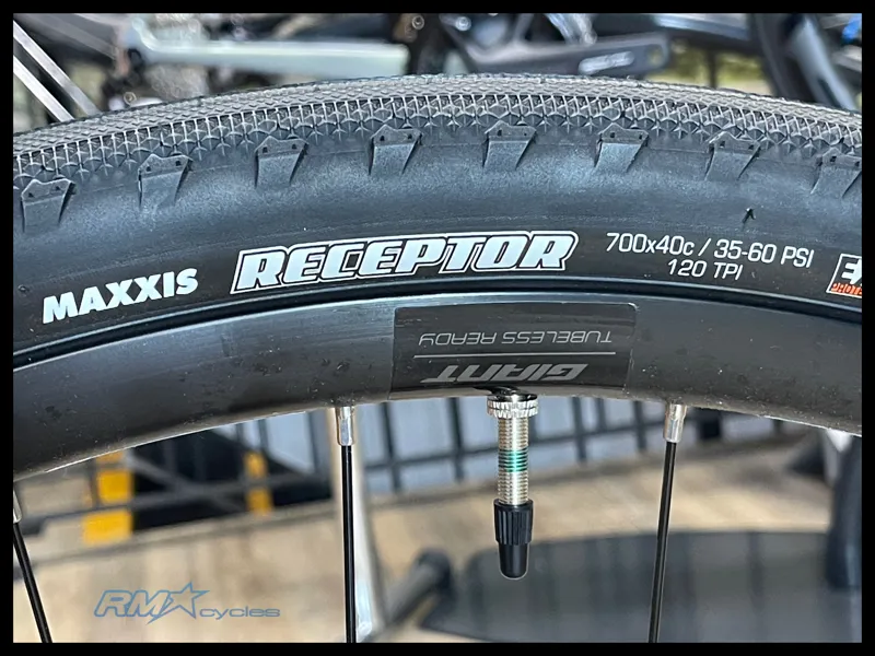 Giant FastRoad AR 3 Medium Charcoal Plum 2023-9