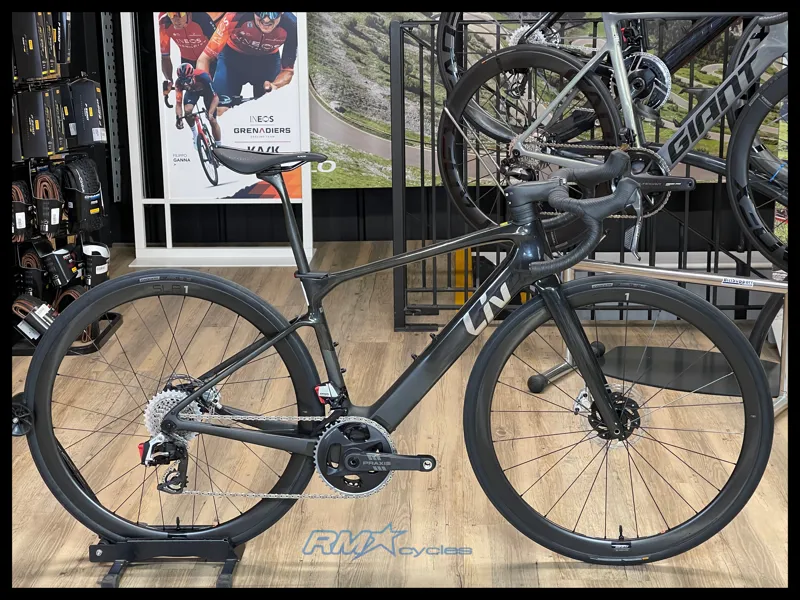 Liv Avail Advanced E+ Elite 0 Small Raw Carbon 2024