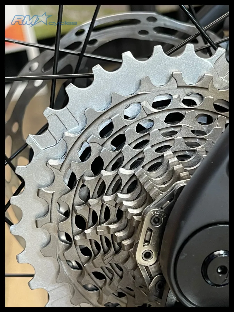 Liv Avail Advanced E+ Elite 0 Small Raw Carbon 2024-2