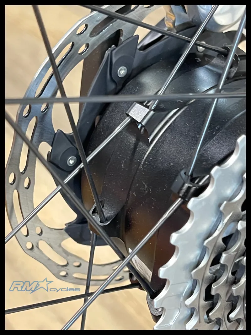 Liv Avail Advanced E+ Elite 0 Small Raw Carbon 2024-3