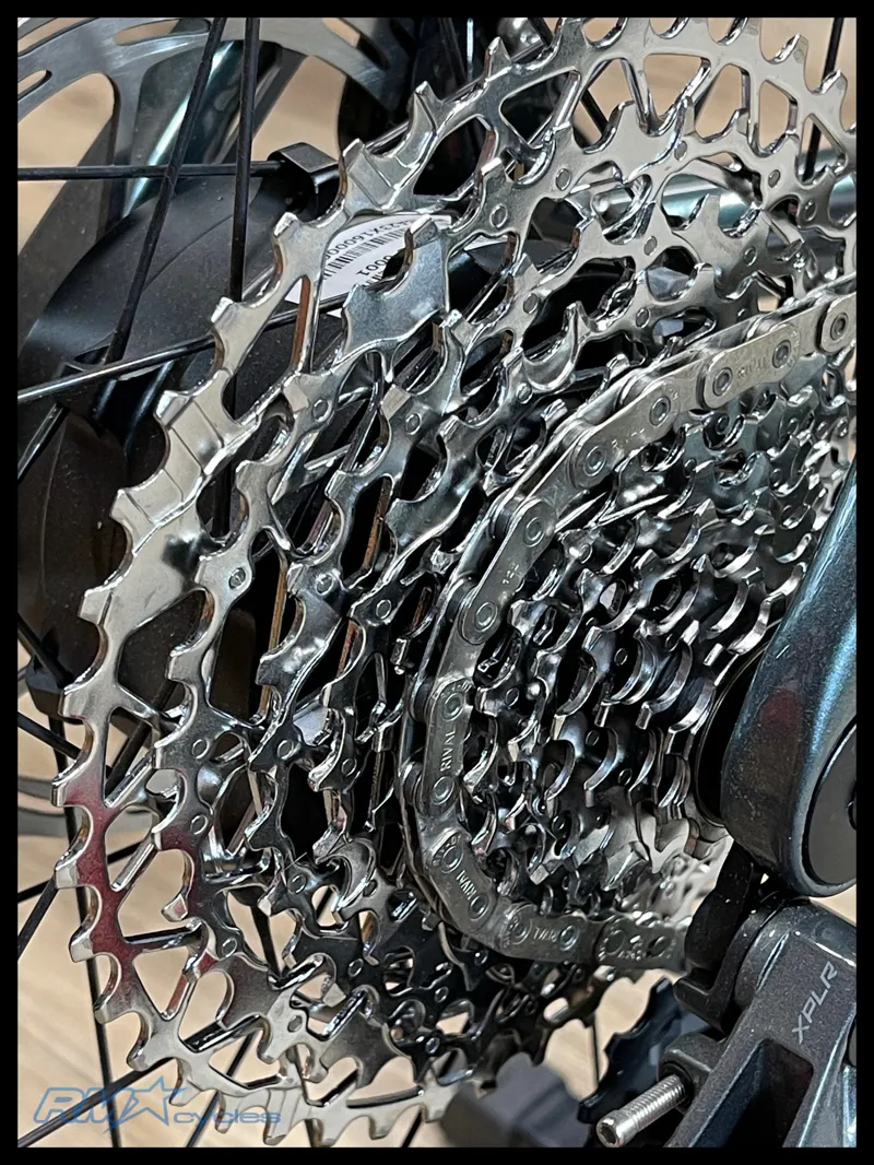 Liv Avail Advanced E+ Elite AR Small in  Silver Pine 2025 Ex-Display-3