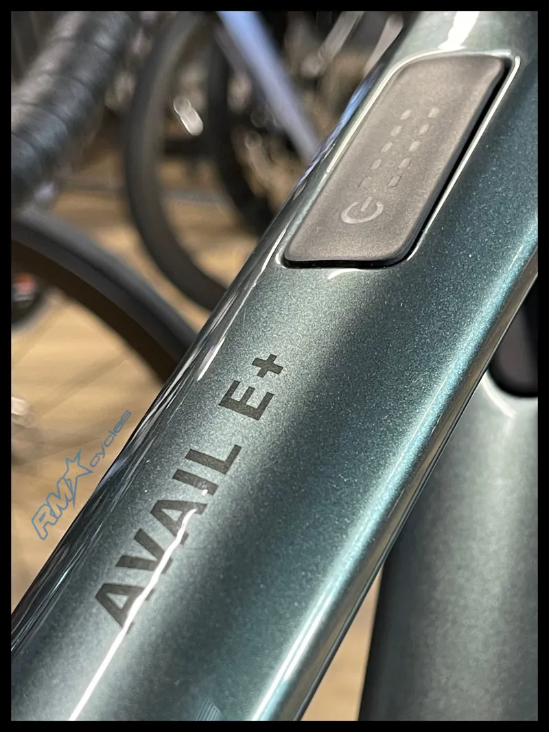 Liv Avail Advanced E+ Elite AR Small in  Silver Pine 2025 Ex-Display-2