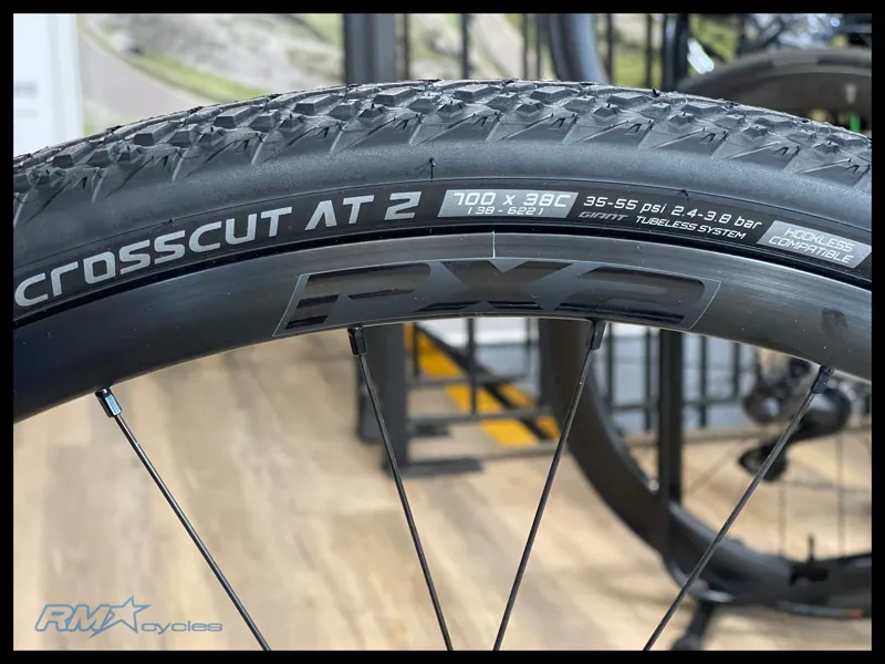 Liv Avail Advanced E+ Elite AR Small in  Silver Pine 2025 Ex-Display-8