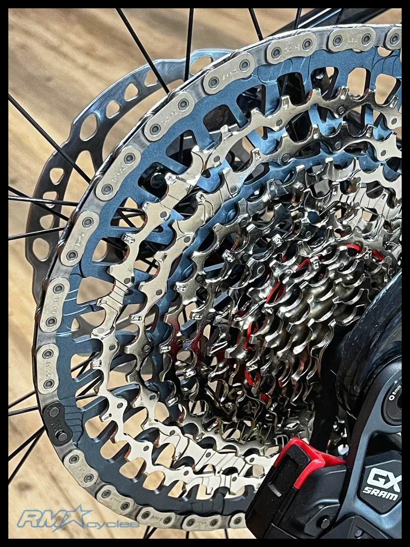 Giant Anthem Advanced 29 1 Medium Raw Carbon 2024-2