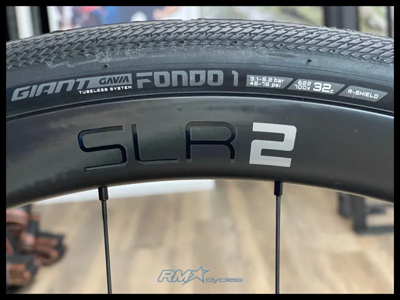 Giant Defy Advanced Pro 2 Medium Prismatic Haze 2024-9