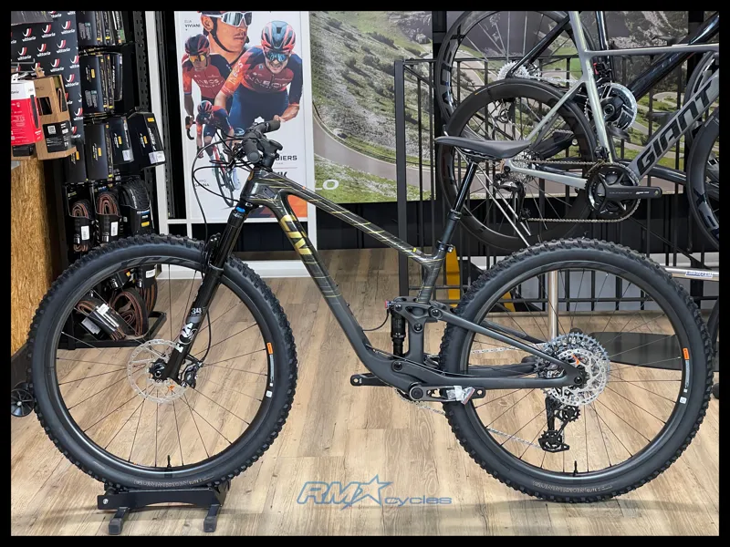 Liv Pique Advanced 29 1 Small 2025 Ex Display-1