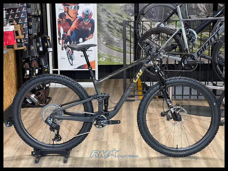 Liv Pique Advanced 29 1 Small 2025 Ex Display