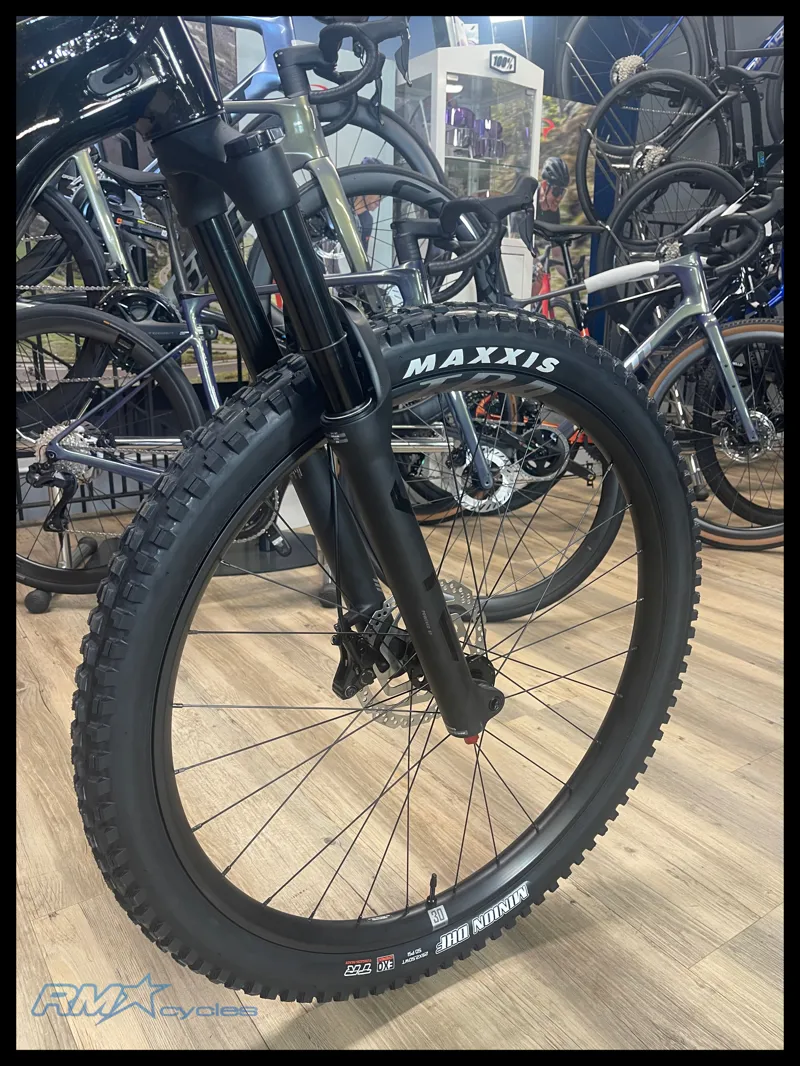 Giant Stance 29 2 Medium Panther 2024-6