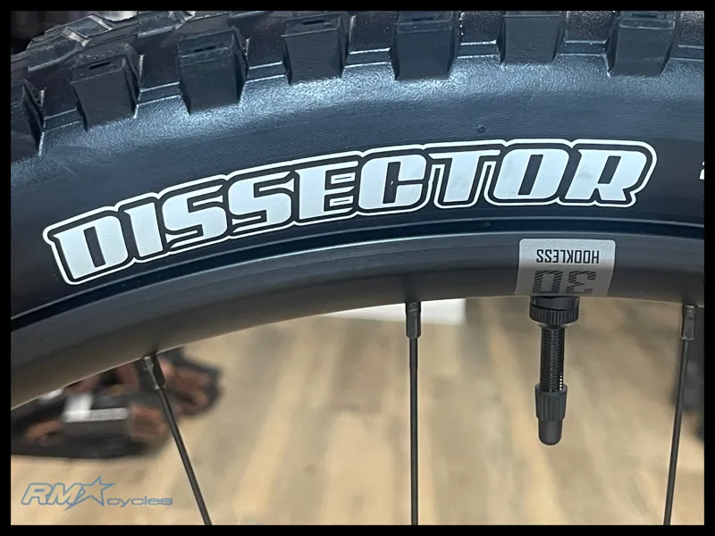 Giant Stance 29 2 Medium Panther 2024-10