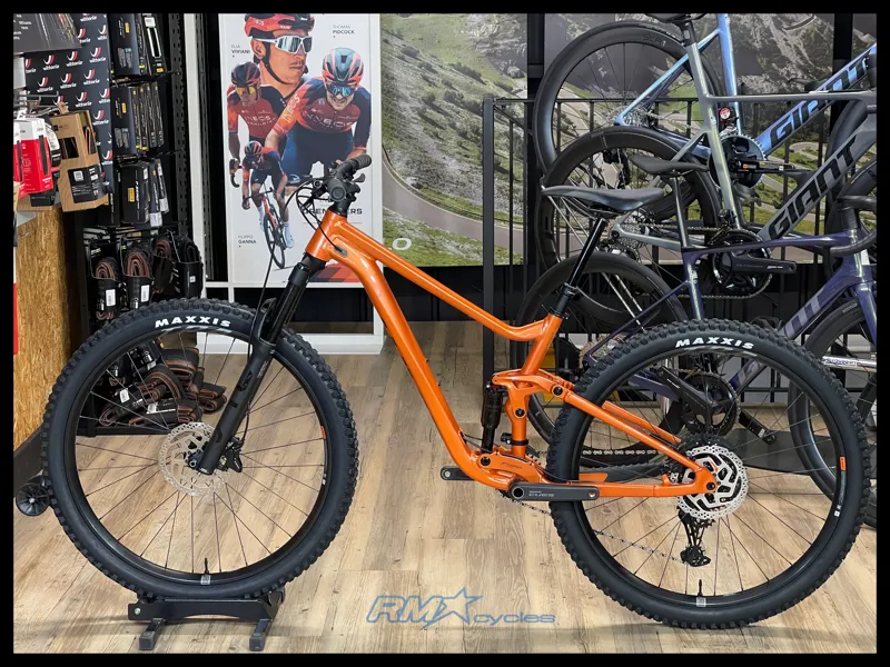 Giant Stance 29 2 Medium Copper Coin 2024-1