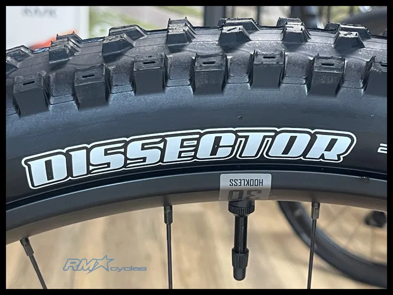 Giant Stance 29 2 Medium Copper Coin 2024-10