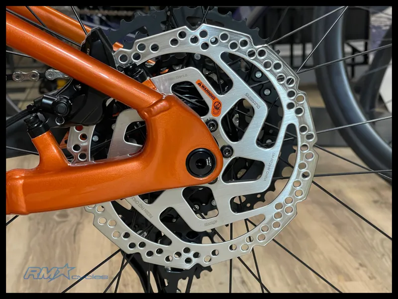 Giant Stance 29 2 Medium Copper Coin 2024-9