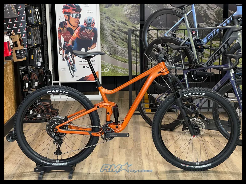 Giant Stance 29 2 Medium Copper Coin 2024