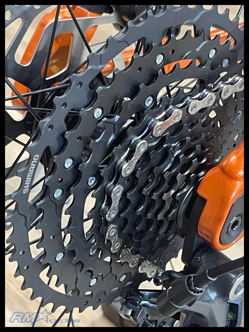 Giant Stance 29 2 Medium Copper Coin 2024-3