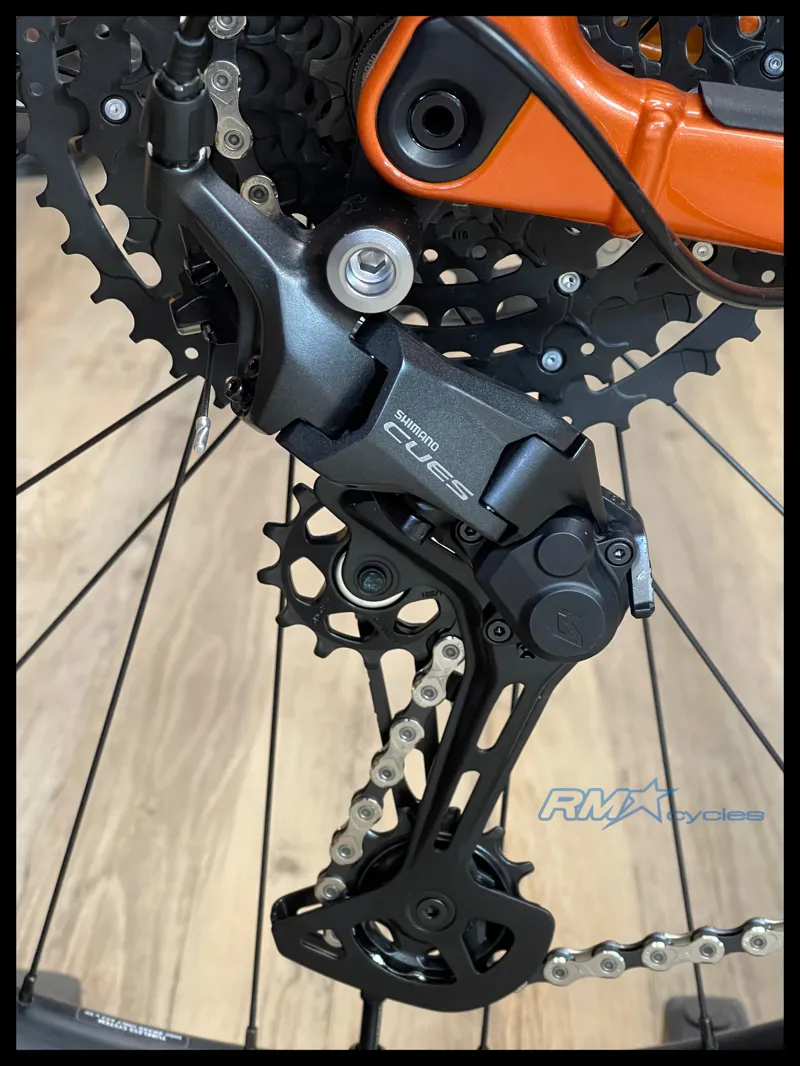 Giant Stance 29 2 Medium Copper Coin 2024-4