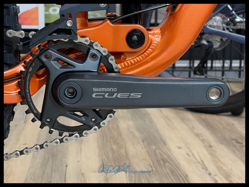 Giant Stance 29 2 Medium Copper Coin 2024-5