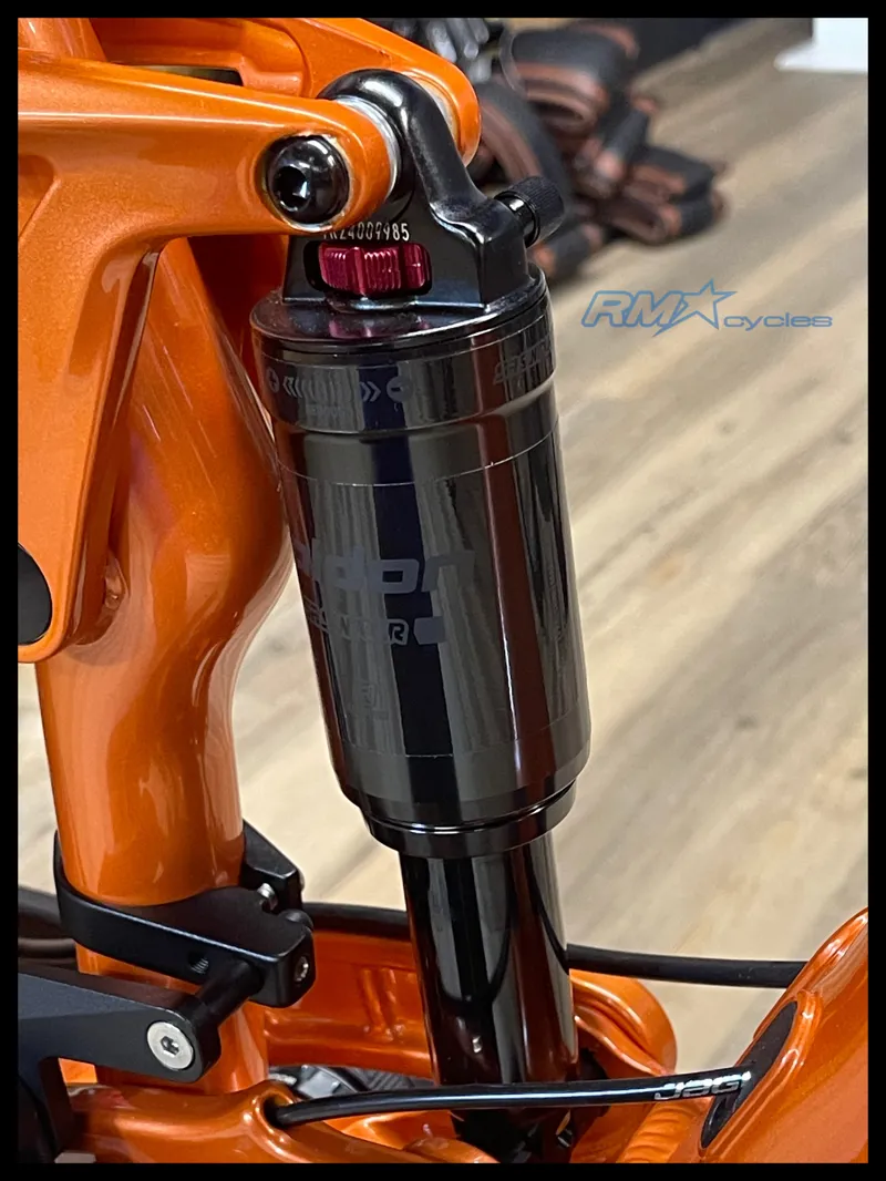 Giant Stance 29 2 Medium Copper Coin 2024-6