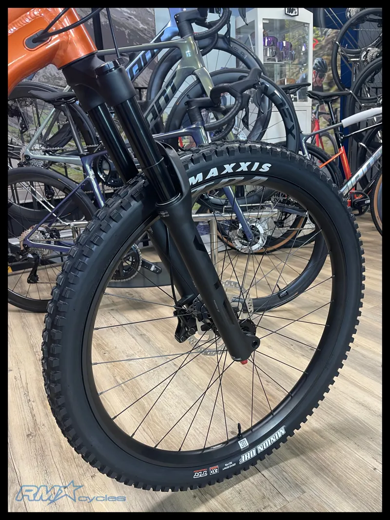 Giant Stance 29 2 Medium Copper Coin 2024-7