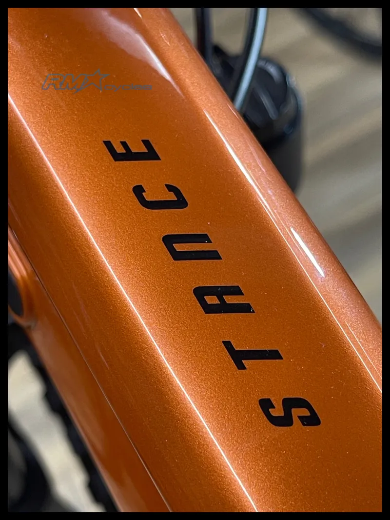 Giant Stance 29 2 Medium Copper Coin 2024-2