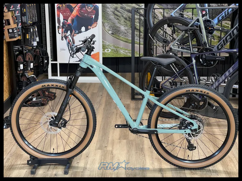 Giant STP 26 Eucalyptus 2024-1