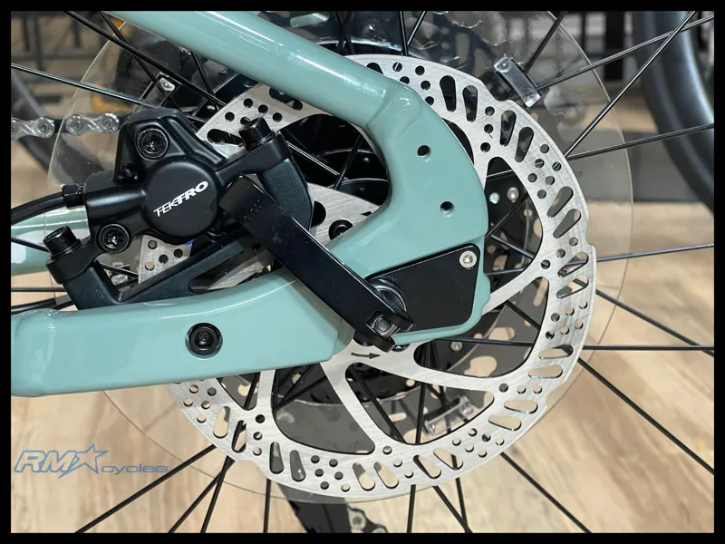 Giant STP 26 Eucalyptus 2024-8