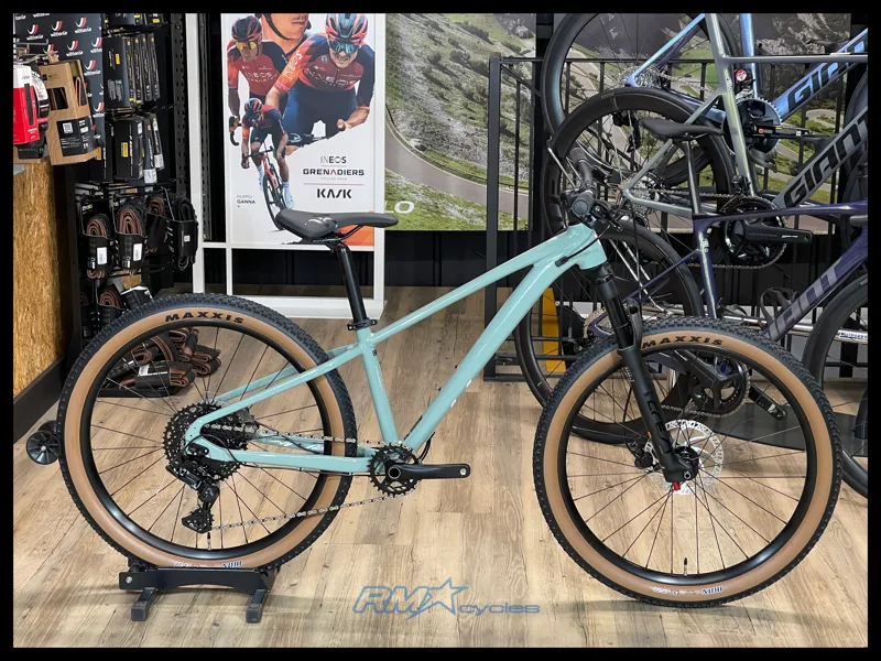 Giant STP 26 Eucalyptus 2024