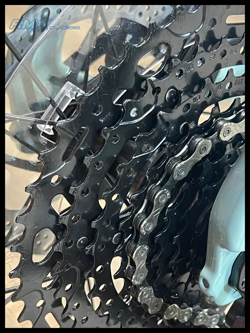 Giant STP 26 Eucalyptus 2024-3