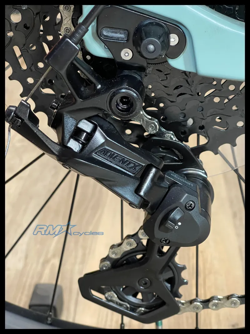 Giant STP 26 Eucalyptus 2024-4