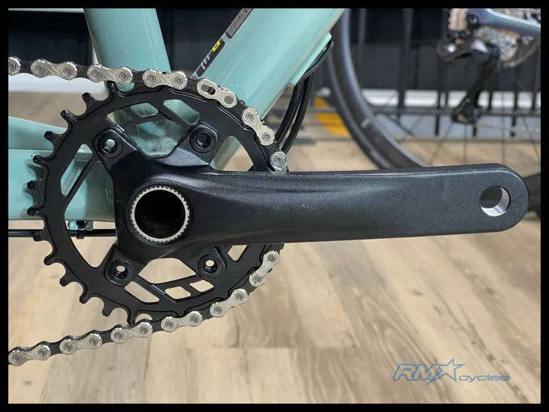 Giant STP 26 Eucalyptus 2024-5