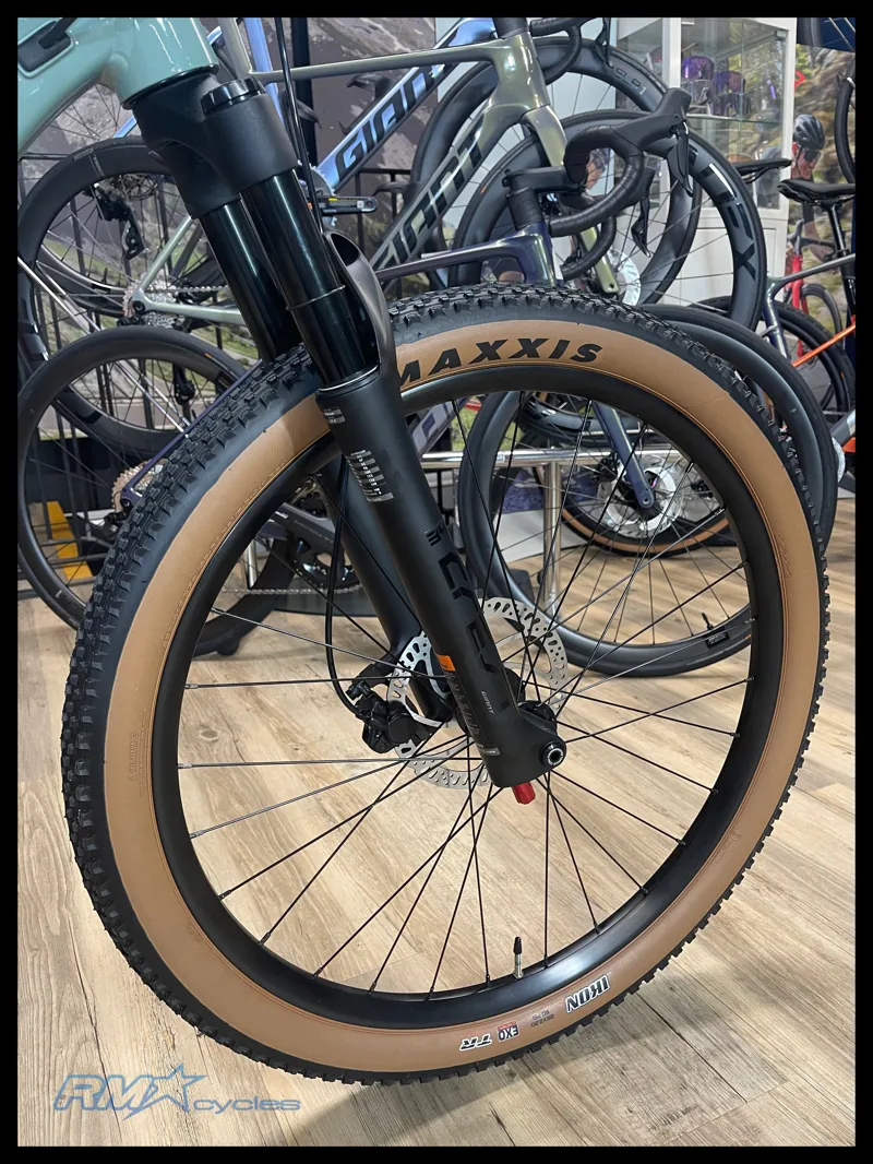 Giant STP 26 Eucalyptus 2024-9