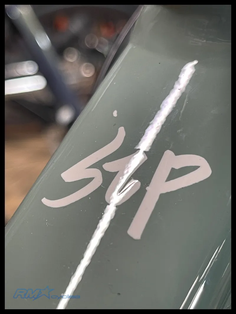 Giant STP 26 Eucalyptus 2024-2